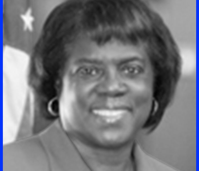 Democrat Pam Dickerson, State Rep, District 113