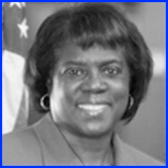 Democrat Pam Dickerson, State Rep, District 113